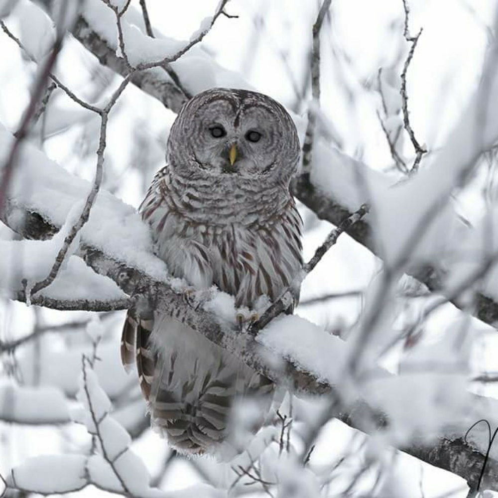 Meet your Posher, Wendy e